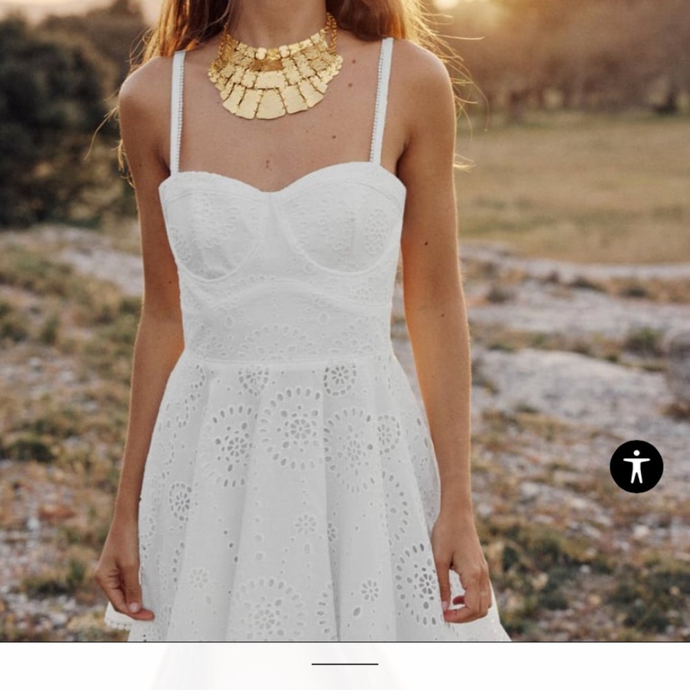 Zara Openwork Embroidered Dress